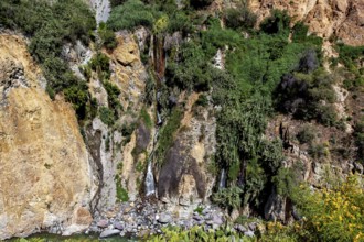 Small waterfall flowing over green and rocky cliffs, the landscape of the Colca Canyon in the Andes