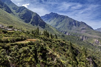 Green mountains and blue sky with scattered meadows and trees, the landscape of the Colca Canyon in