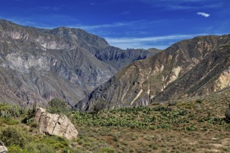 Wide mountain landscape with green vegetation under a clear sky, The landscape of Colca Canyon in