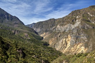 Rocks surround a green valley under a wide sky, the landscape of Colca Canyon in the Aden of Peru