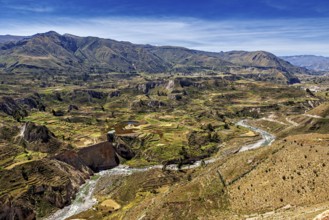 Serpentines along valleys with terraced areas and river, The landscape of the Colca Canyon in the