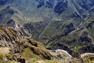 Lush valley with agricultural terraces nestled in a mountainous environment, the landscape of the