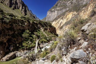 Suspension bridge spans river in deeply cut gorge with steep rocks, the landscape of Colca Canyon