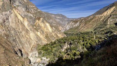 Extensive mountain range with green vegetation and blue sky, the landscape of Colca Canyon in the