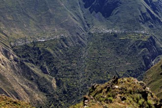Bird's-eye view of terraces running on the slopes in a mountainous region, The landscape of Colca