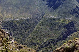 Old agricultural terraces on mountain slopes, partly overgrown in a mountainous environment, The