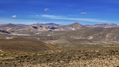 Hilly landscape with extensive desert and mountain range in the background, The Andean highlands of