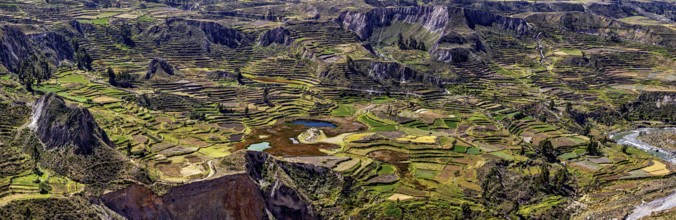 Terraced areas in a hilly landscape with flowing waters, The landscape of the Colca Canyon in the