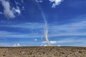 A tornado swirls dust over a dry landscape under a clear blue sky with few clouds, dust devils in
