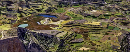Diversity of terraced fields with small lakes in hilly areas, the landscape of the Colca Canyon in