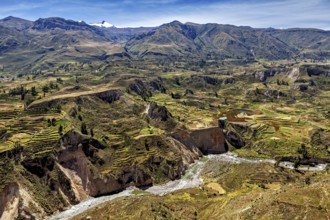 Landscape with terraced fields, river and mountainous surroundings, The landscape of Colca Canyon