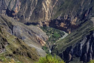 Dramatic gorge with lush greenery in the valley floor surrounded by steep cliffs and hiking trails,