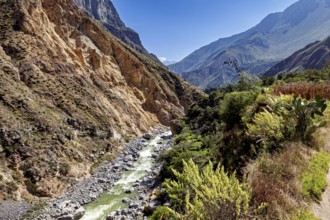 View of a river flowing through a rocky gorge between steep mountains, The landscape of Colca
