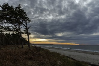 Dramatic clouds, evening light, sunset, Weststrand Darß, Baltic Sea, Fischland-Darß-Zingst, Western