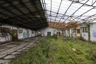 Former hall, dilapidated plant of a former agricultural production cooperative of the former GDR,
