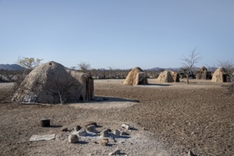 Himba huts, traditional Himba village in the savanna, arid countryside, Kaokoveld, Kunene, Namibia