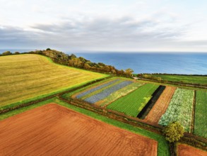 Colours of autumn Fields and Farms over Sheldon from a drone, Torbay, Devon, England, United