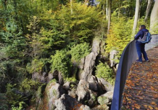 Sea of rocks in autumn, Hemer, Sauerland, North Rhine-Westphalia, Germany