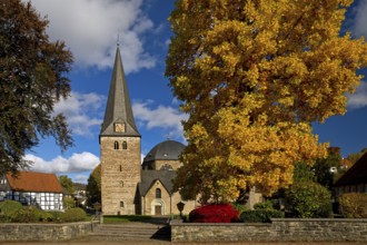 Pfarrkirche Sankt Blasius im Herbst, Balve, Sauerland, North Rhine-Westphalia, Germany