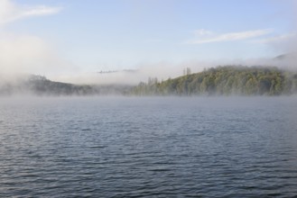 Hennesee, morning fog, blue sky, Hennetalsperre, Sauerland-Rothaargebirge nature park Park, North