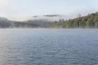 Hennesee, morning fog, Hennetalsperre, Sauerland-Rothaargebirge nature park Park, North