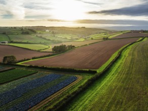 Colours of autumn Fields and Farms over Sheldon from a drone, Torbay, Devon, England, United