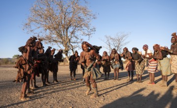 Himba woman dancing euphorically, traditional dance, traditional Himba village, Kaokoveld, Kunene,