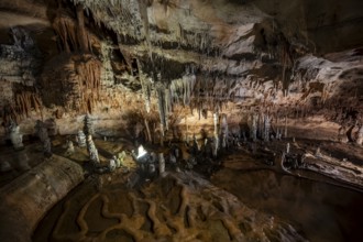Stalactites and stalagmites, rock formations in a stalactite cave with water basin, Grotta del