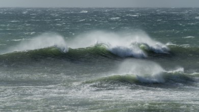 Ocean waves, strong surf, west coast of the Taranaki region, North Island, New Zealand