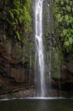 Cascata das 25 Fontes river and waterfall, 25 springs, hiking trail PR6, Levada das 25 Fontes,