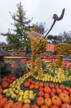 Decoration with pumpkins on a farm