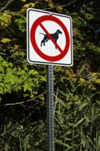 Posted white, red and black pictogram sign warning that dogs are not allowed or forbidden in public