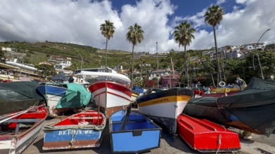Camera de Lobos fishing village, harbour with fishing boats, Madeira, Portugal