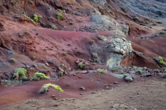 Volcanic soil, colorful soil, red, erosion, near Miradouro da Ponta do Rosto, Madeira, Portugal