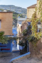 MAR, Chefchaouen, Medina