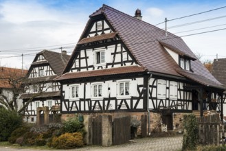 Village made entirely of half-timbered houses, Seebach, Alsace, Bas-Rhin department, France