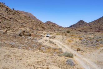 Toyota Hilux off-road vehicle on a sandy track, desert landscape with Brandberg, Erongo,