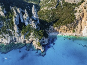 Picturesque rocky coast, cliffs with L'Aguglia pinnacle, blue sea and Cala Goloritzé beach, aerial