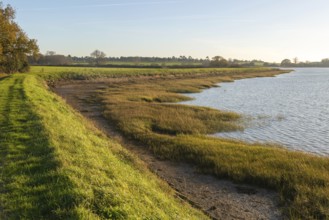 River Deben earthwork bank flood defence wall, Sutton, Suffolk, England, UK