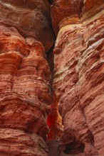 Evening rock glowing in spring at Altschloßfelsen in Eppenbrunn Palatinate, Germany