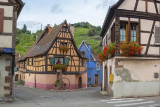 Half-timbered houses passing through Niedermorschwihr, Ellsass