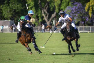 Scene at the 132nd Argentinean Open Polo Championship (Spanish 132nd Abierto Argentino de Polo de