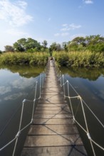 Toruist on the Kavango River, suspension bridge at Camp Kwando, Zambezi region, Caprivi Strip,