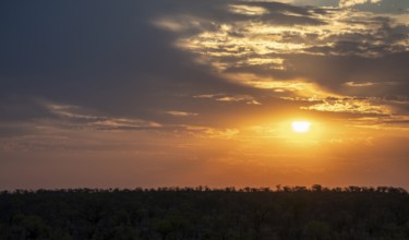 Impressive sunset over the African savanna, silhouette of the horizon with trees in front of the