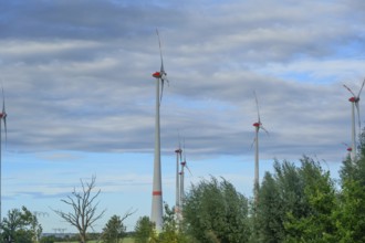 Wind turbines on the B4, Rehna, Mecklenburg-Western Pomerania