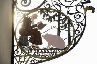 Nose sign of a butcher shop, old town, Colmar, Alsace, France