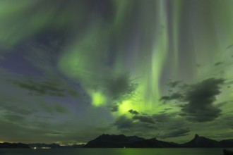 Northern lights at dawn over Sørfolda Fjord near Kjerringøy between Bodø and Sørfold in Norway