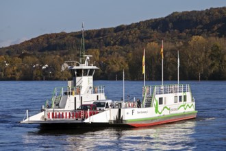 The Konrad Adenauer Rhine ferries on the Rhine from Bad Godesberg to Königswinter-Niederdollendorf,