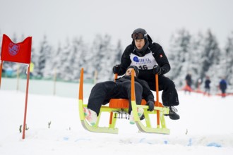Horn sled racing, Waldau, Black Forest, Baden-Württemberg, Germany