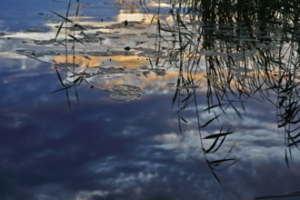 Spring atmosphere with cloudy skies and sunshine over a quiet river, Peenetal nature park Park,
